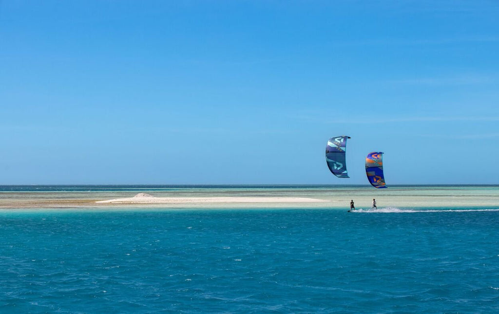 Duotone Select  Concept Blue 2024