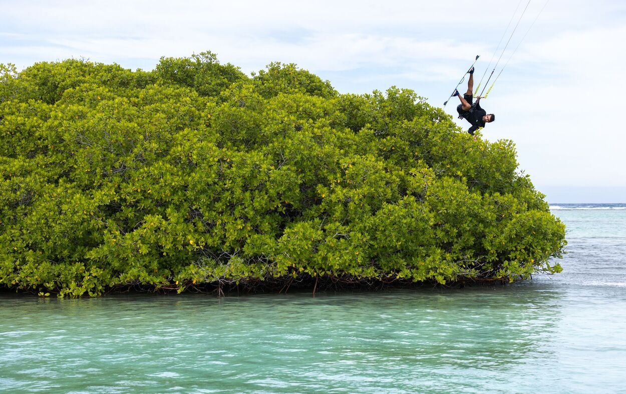 Duotone Select  Concept Blue 2024