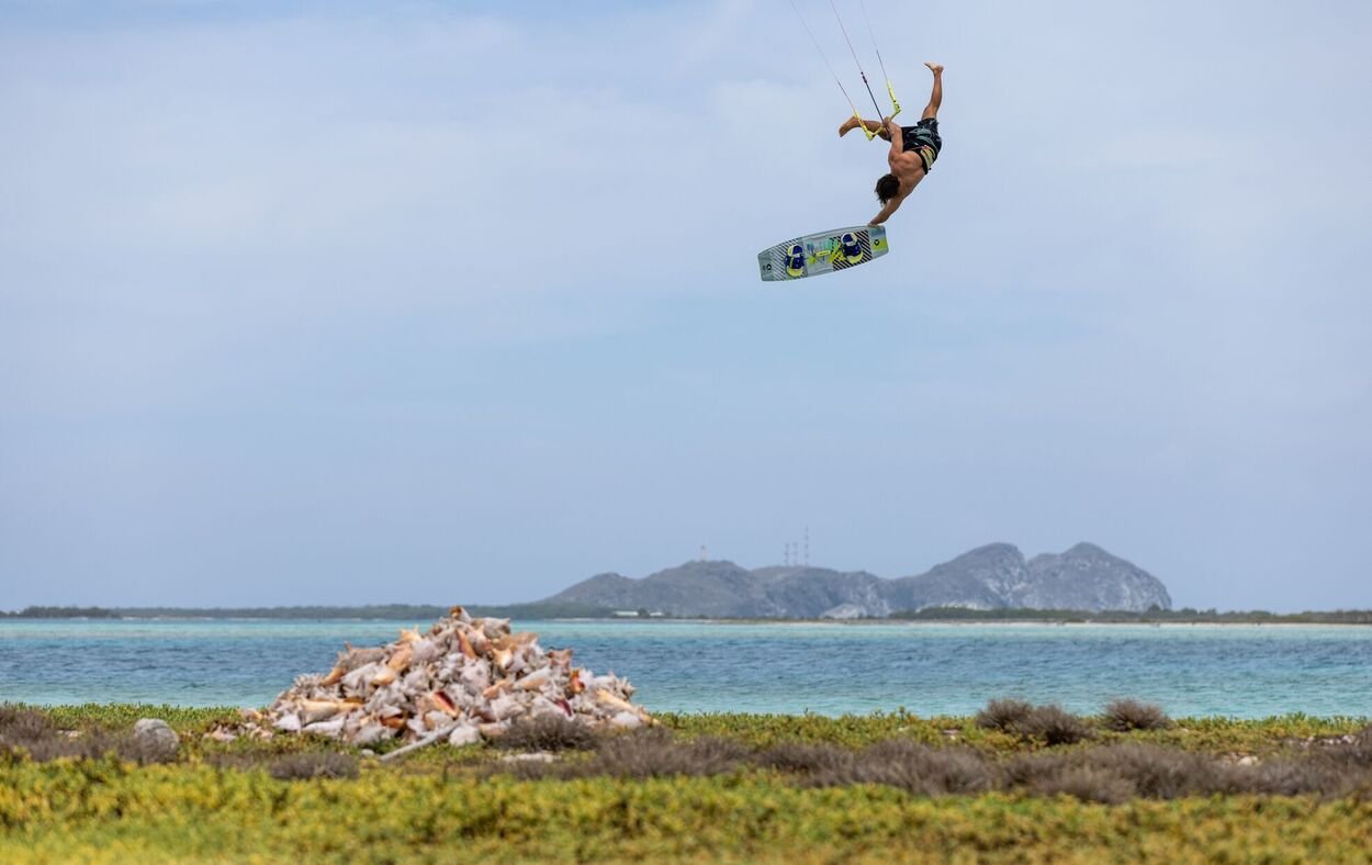 Duotone Select  Concept Blue 2024